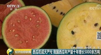 中央财经吃瓜事件,揭秘幕后真相与网络舆论风暴