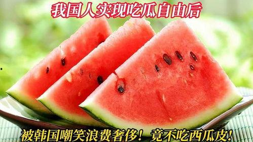 韩国人吃瓜自由,全民吃瓜，自由畅享娱乐盛宴