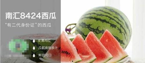 吃瓜不是瓜吃瓜下一句,揭秘网络热议背后的真相