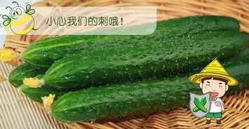 男配的吃瓜,揭秘娱乐圈背后的秘密与真相