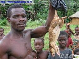 最新恐怖吃瓜爆料,最新恐怖吃瓜事件，真相令人胆寒！